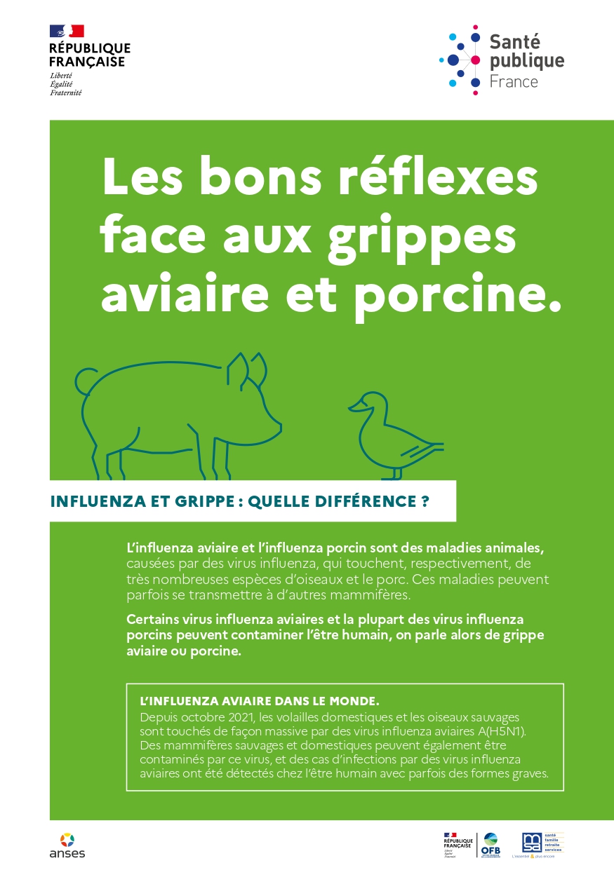 grippes aviaire et porcine